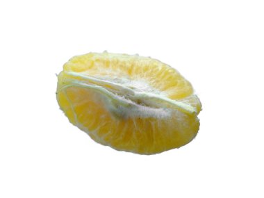 Beyaz arka planda portakal meyvesi. Yeşil meyveli turunçgil.