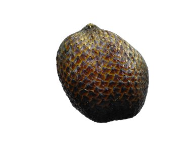 Beyaz arka planda Salak meyvesi. Kahverengi meyveli Salak. Bitkinin adı Salacca zalacca.