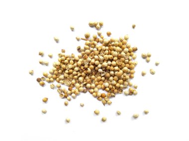 Beyaz arka planda kişniş tohumları. Kişniş tohumları kırpma yolu ile beyaz arkaplanda izole edildi