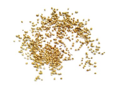 Beyaz arka planda kişniş tohumları. Kişniş tohumları kırpma yolu ile beyaz arkaplanda izole edildi