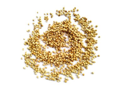 Beyaz arka planda kişniş tohumları. Kişniş tohumları kırpma yolu ile beyaz arkaplanda izole edildi