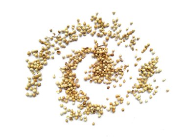 Beyaz arka planda kişniş tohumları. Kişniş tohumları kırpma yolu ile beyaz arkaplanda izole edildi