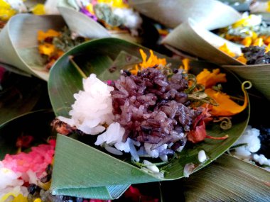 Segehan adında bir Hindu balesi. (Banten Saiban, Canang Kokokan, Canang Sari, Sodan, Gebogan / Pajegan ve diğerleri gibi) )