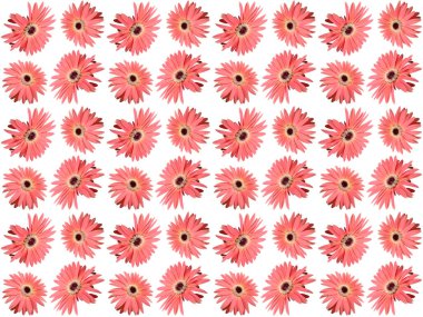 Güzel çiçek ya da güzel çiçek arkaplanı. Çiçek desenli doku. Çiçek deseni. Çiçek deseni