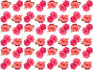 Güzel çiçek ya da güzel çiçek arkaplanı. Çiçek desenli doku. Çiçek deseni. Çiçek deseni