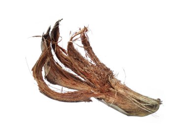 Hindistan cevizi kabuğu ya da beyaz arka planda kabuklu hindistan cevizi. Hindistan cevizi sütunu beyaz arkaplanda izole edildi