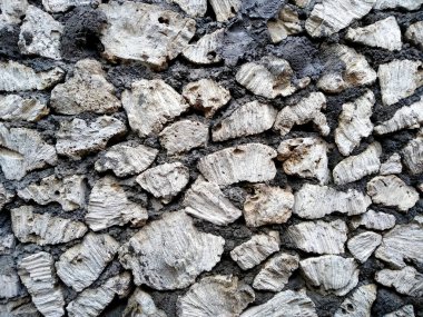 Kirli ve eski mercan duvar dokusu. Taşlı arkaplan (Duvar dokusu bir duvar çerçevesi ve duvar arkaplanı olarak kullanılabilir) )