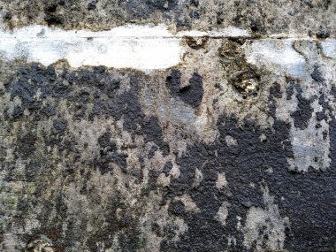 Kirli ve eski kumtaşı duvar dokusu. Yosun, gözenekli, çatlak ve yıpranmış kumtaşı duvarların soyut dokusu. (Duvar dokusu duvar çerçevesi ve duvar arkaplanı olarak kullanılabilir )