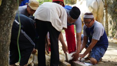 Kurban bayramı kutlaması. Müslümanlar keçileri kesmede birbirlerine yardım ederler. Kurban Bayramı ya da Kurban Bayramı..