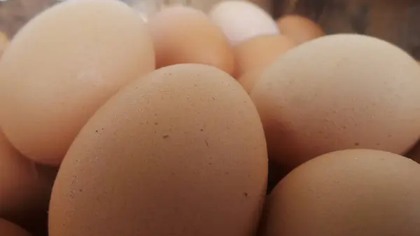Yakın mesafeden kahverengi tavuk yumurtası.
