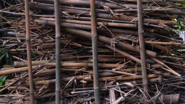 Bir yığın bambu çubuğu ve dal.