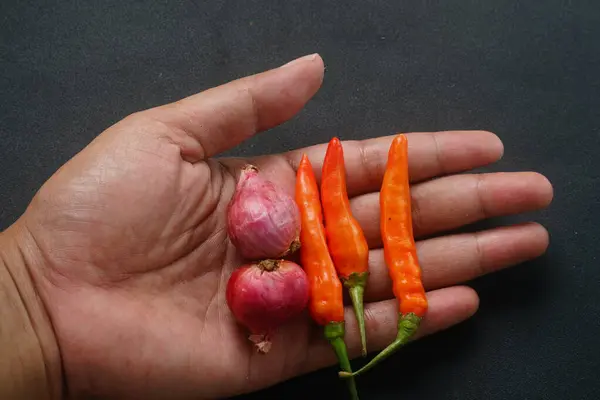 İnsan avuçlarında kırmızı biber ve arpacık soğanı