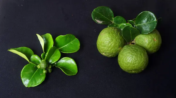 stock image Kaffir Lime or Citrus hystrix small and large sizes. There are leaves. Focus selected, black background