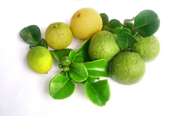 Kaffir Lime veya Citrus hystrix ve Key Lime veya Citrus Hybrid. Yapraklar var. Seçili beyaz arkaplanı odakla