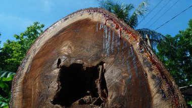 Büyük ahşap parçaları, görünür doku ve erimiş bitki özü.