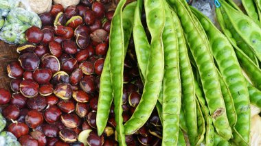 Archidendron Jiringa Seed (jering) and Stink Bean or parkia speciosa clipart