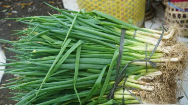 Bir demet taze soğan veya pırasa.