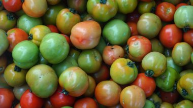 Bir sürü yeşil ve kırmızı domates. Arka plan için iyi.