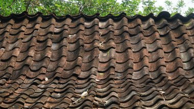 Endonezya 'da çatı fayansı. Rengi eski olduğu için koyu ve donuk.