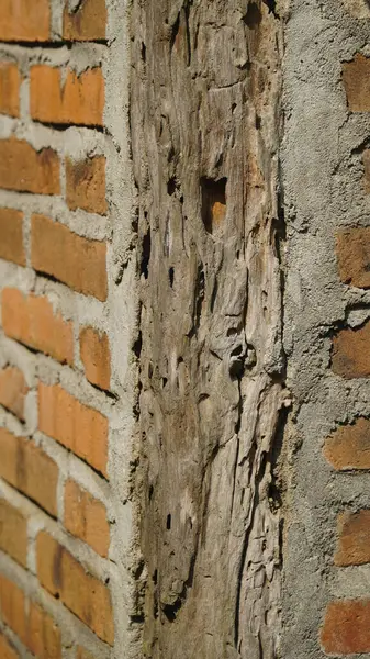 Kırmızı tuğla duvarın köşesindeki gözenekli ahşap. Seçilene odaklan