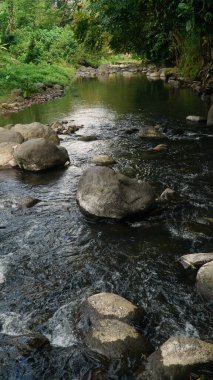 Ortasında bir sürü taş olan nehir.
