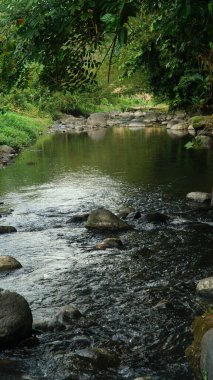 Ortasında taşlar olan nehir.