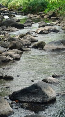 Nehir ortada ve nehir kıyısında bir sürü taş var.