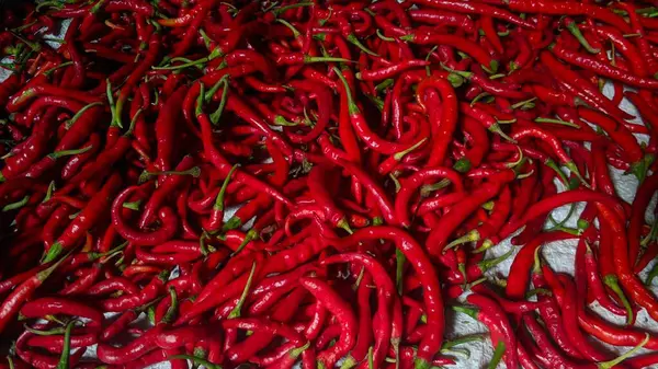 stock image Red chili pepper in large quantities