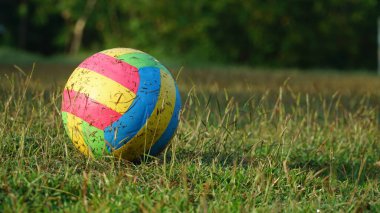 Colorful balls on the grass in the morning sun. Focus selected clipart