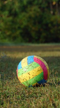 Colorful balls on the grass in the morning sun. Focus selected clipart