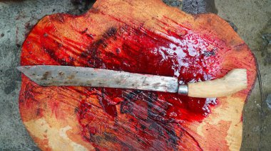 İnek kanıyla dolu bir tahta üzerinde bir kılıç ya da bir pala. İnekleri kesmek için kullanıldıktan sonra
