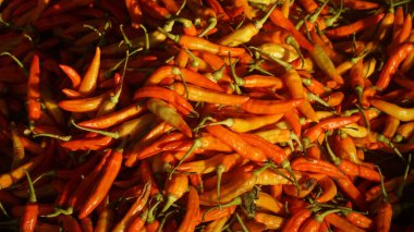 Bir yığın kırmızı biber ya da kırmızı biber. seçili odaklanma