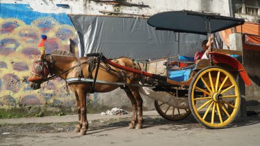Delman ya da kahverengi atlı at arabası yolun kenarında yolcuları bekliyor.