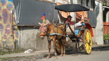 Delman ya da kahverengi atlı at arabası yolun kenarında yolcuları bekliyor.