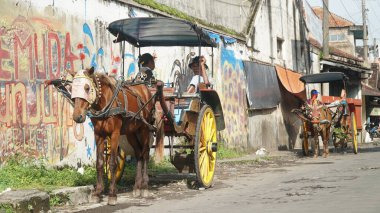 Delman ya da kahverengi atlı at arabası yolun kenarında yolcuları bekliyor.