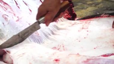 Sığır derisini bıçakla doğrama ve kesme işlemi.