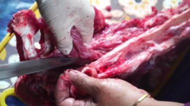 Kemikleri ayırmak için bıçakla et kesme işlemi.