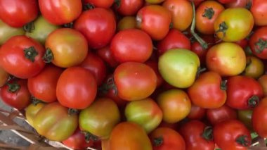 Bambu sepetinde taze kırmızı domatesler.