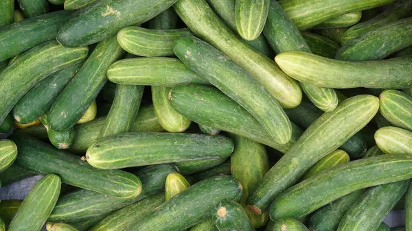 Yeşil salatalık yığını. Üst Manzara. Seçilene odaklan