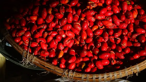 Sabah güneşine maruz kalmış bambu sepetindeki gnetum gnemon meyvesi yığını. Seçilene odaklan