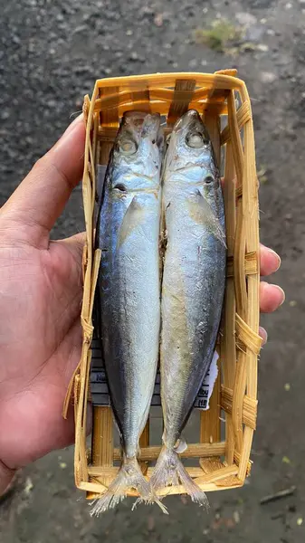Elle tutulan bambu sepetinde pindang balığı. Seçilene odaklan
