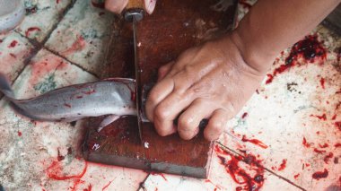 Tahta kesme tahtasındaki bıçakla yayın balığını dilimlemek. Odaklanma seçildi. Arka plan bulanık. Üst görünüm