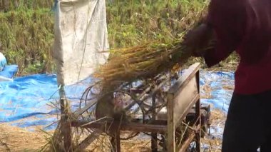 Pirinç öğütme makinesiyle öğütülüyor. Seçilene odaklan