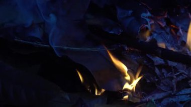 Ateş karanlıkta yaprakları yakıyordu. Seçilene odaklan