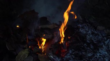 Ateş karanlıkta yaprakları yakıyordu. Seçilene odaklan