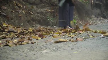 Kuru yapraklar hindistan cevizi süpürgesiyle süpürülüyor. Seçilene odaklan