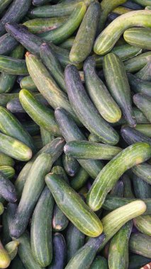 Yeşil salatalık yığını. Seçilene odaklan