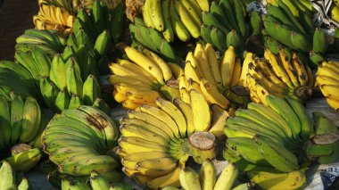 Geleneksel pazarlarda taze yerel muz meyvesi satılıyor. Bazıları sarı, bazıları yeşil. Seçilene odaklan