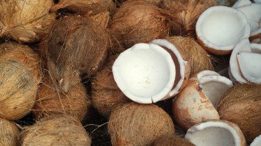 Geleneksel pazarda soyulmuş hindistan cevizi. Bakir yağ yapmak için bir sürü hindistan cevizi. Seçilene odaklan