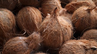 Geleneksel bir pazarda hindistan cevizi yığını. Bakir yağ yapmak için bir sürü hindistan cevizi. Seçilene odaklan